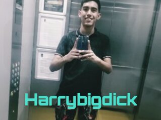 Harrybigdick