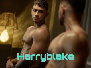 Harryblake