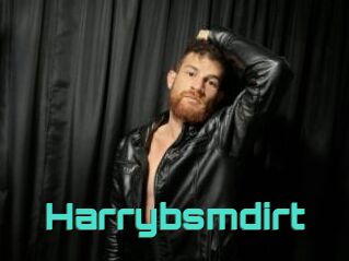 Harrybsmdirt