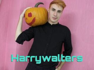 Harrywalters
