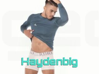 Haydenbig