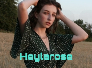 Heylarose