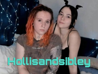 Hollisandsibley