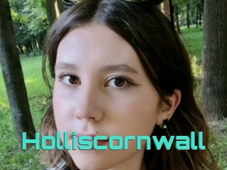 Holliscornwall