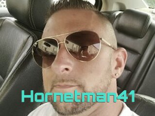 Hornetman41