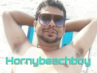 Hornybeachboy