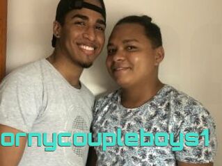 Hornycoupleboys1