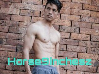 Horse9inchesz