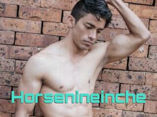 Horsenineinche