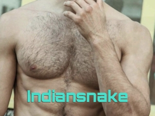 Indiansnake