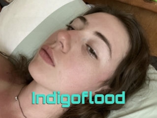Indigoflood