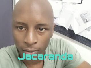 Jacaranda