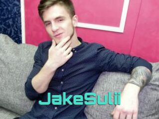 JakeSulii