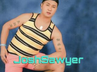 JoshSawyer