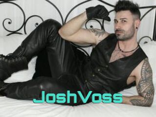 JoshVoss