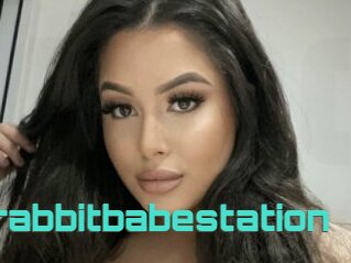 Jaderabbitbabestation