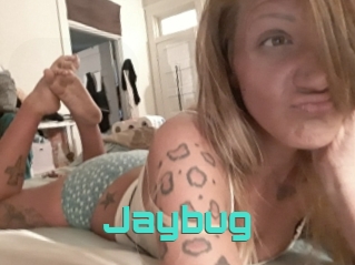Jaybug