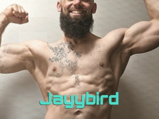 Jayybird