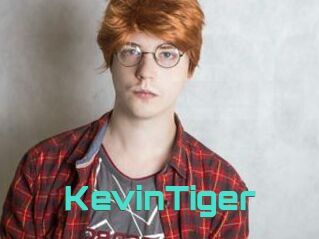 KevinTiger