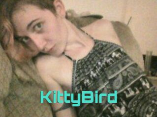 KittyBird