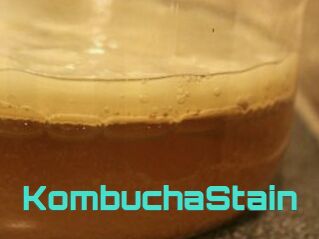 KombuchaStain