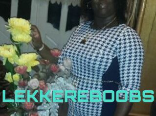 LEKKEREBOOBS