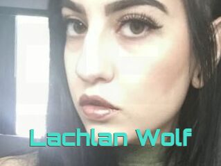 Lachlan_Wolf