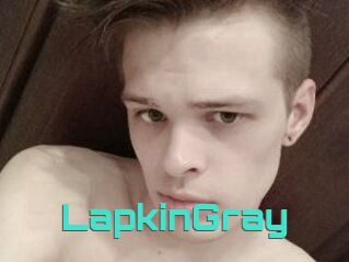 LapkinGray