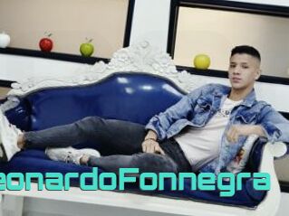 LeonardoFonnegra