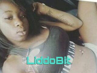 LiddoBit