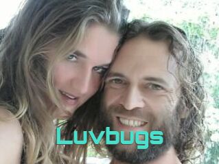Luvbugs