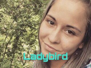 Ladybird