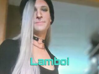 Lamboi