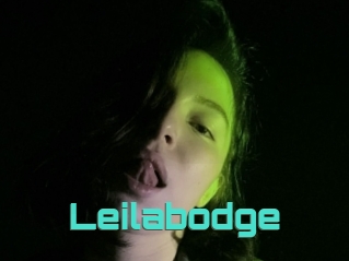 Leilabodge