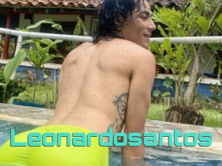Leonardosantos