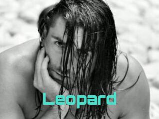 Leopard