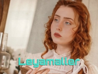 Leyamaller
