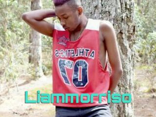 Liammorriso
