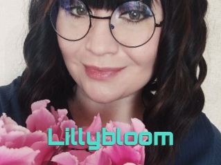 Lillybloom