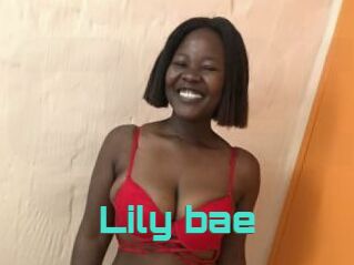 Lily_bae