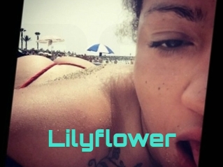 Lilyflower
