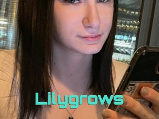 Lilygrows