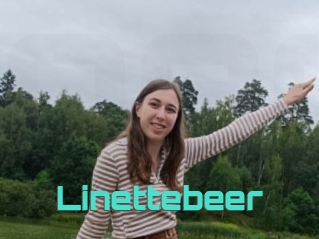 Linettebeer