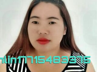 Linlin17715483375