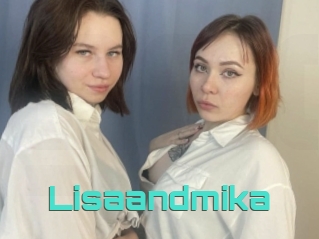 Lisaandmika