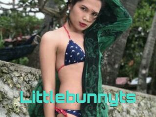 Littlebunnyts