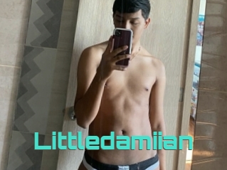 Littledamiian