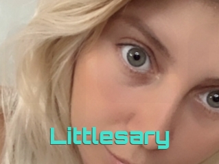 Littlesary