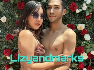 Lizyandmarks