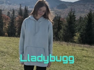 Lladybugg